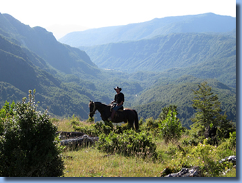 Rider  in mountains on a horseback trail ride in NP Huequehue, Chile